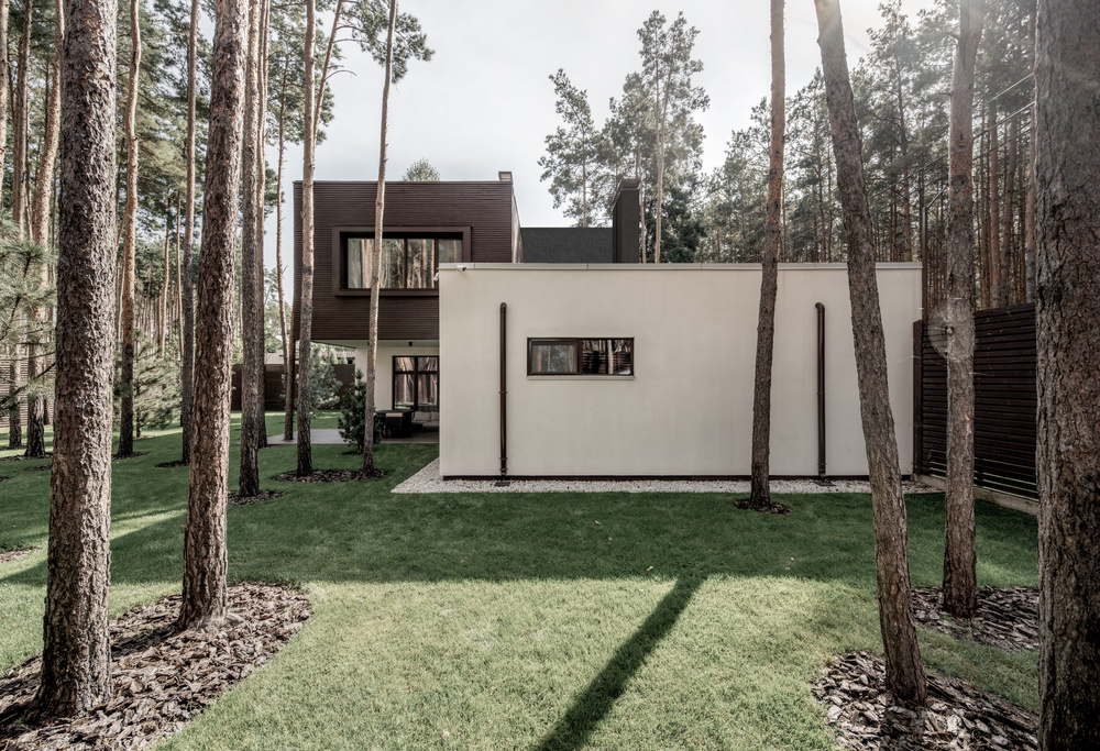 Residential Forest House by  Viktoria Yakusha 