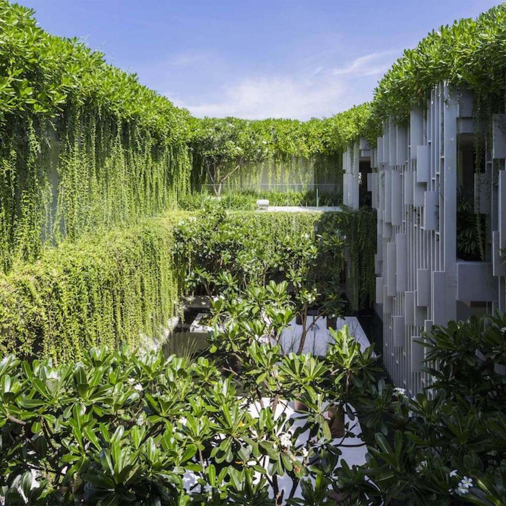 The courtyards of this biophilic architecture are entirely covered with dense backdrops of flourishing plants