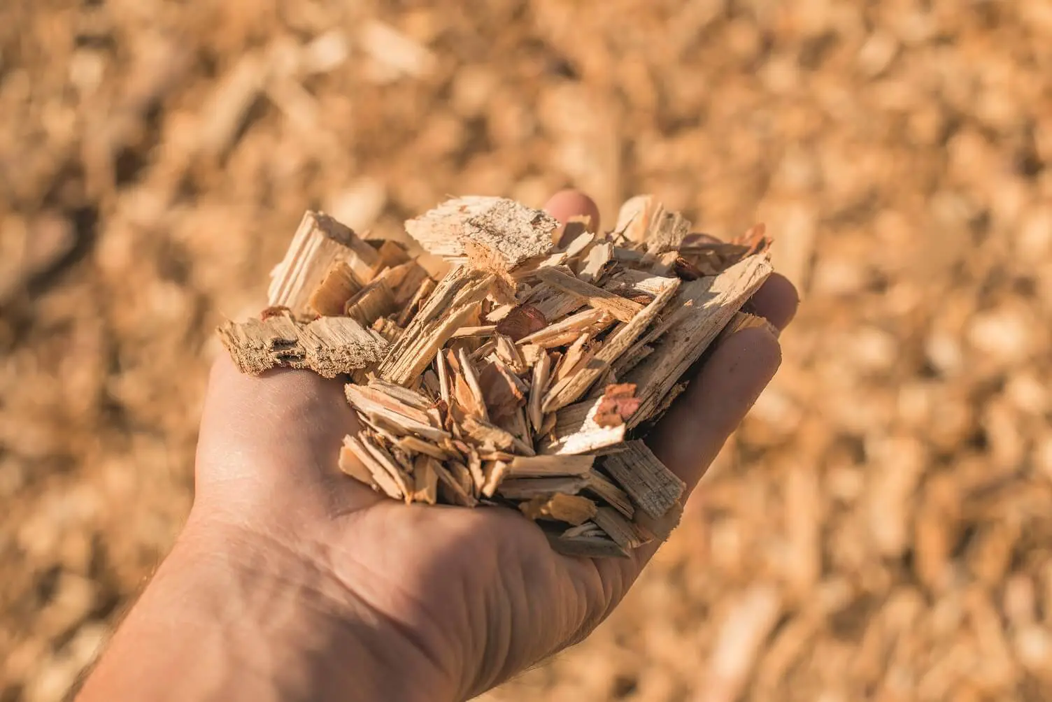 Eco-mobilier - wood chips