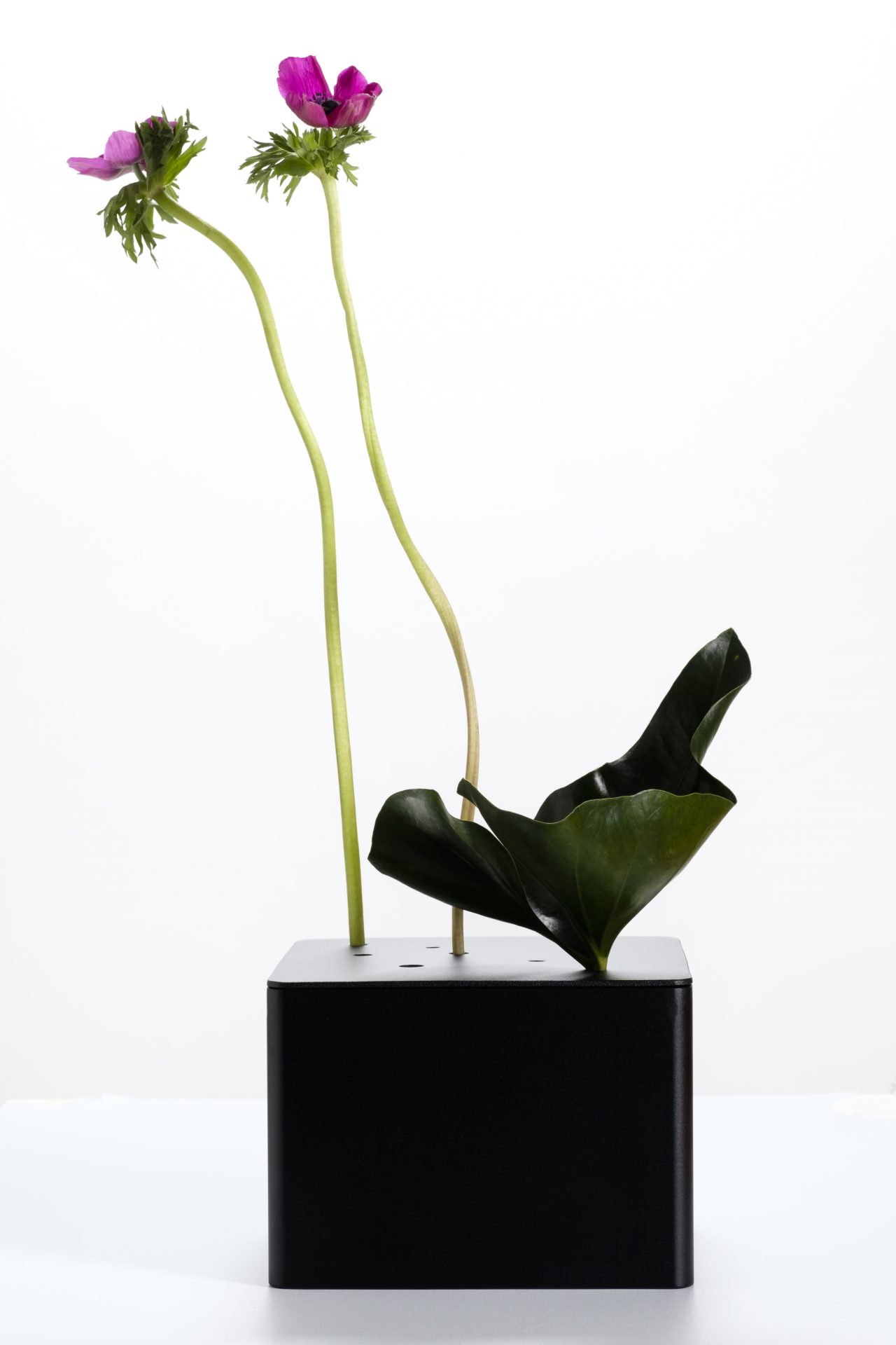 PROSPER flower vase by Anna Thorunn