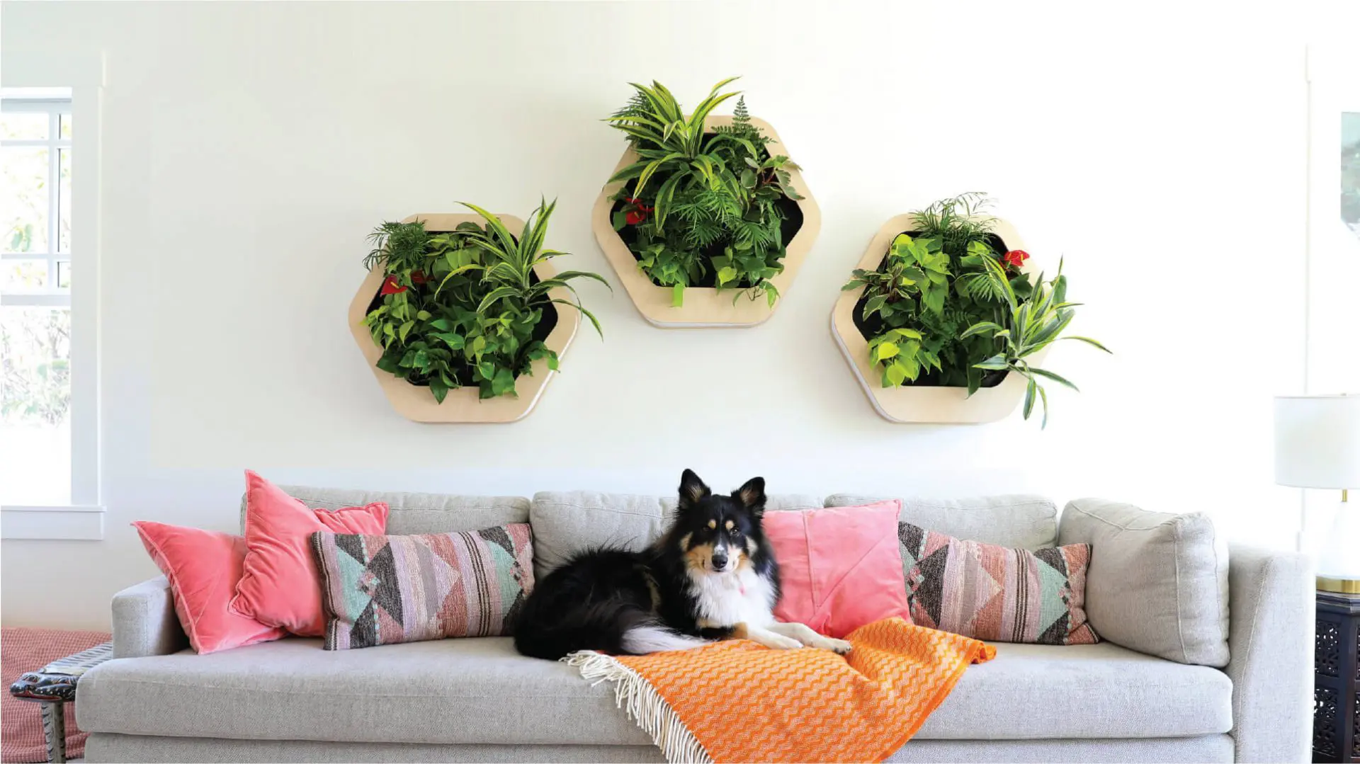 Gromeo panels, bringing some greenery to your walls - ©Habitat Horticulture / Biophilic Design