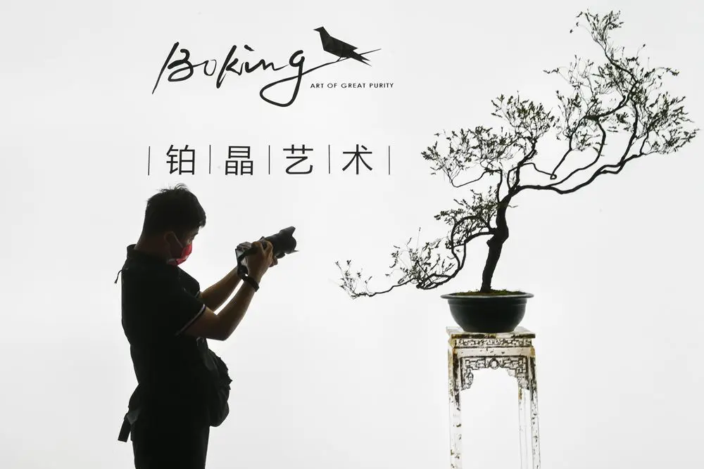 Design Shanghai - Boking