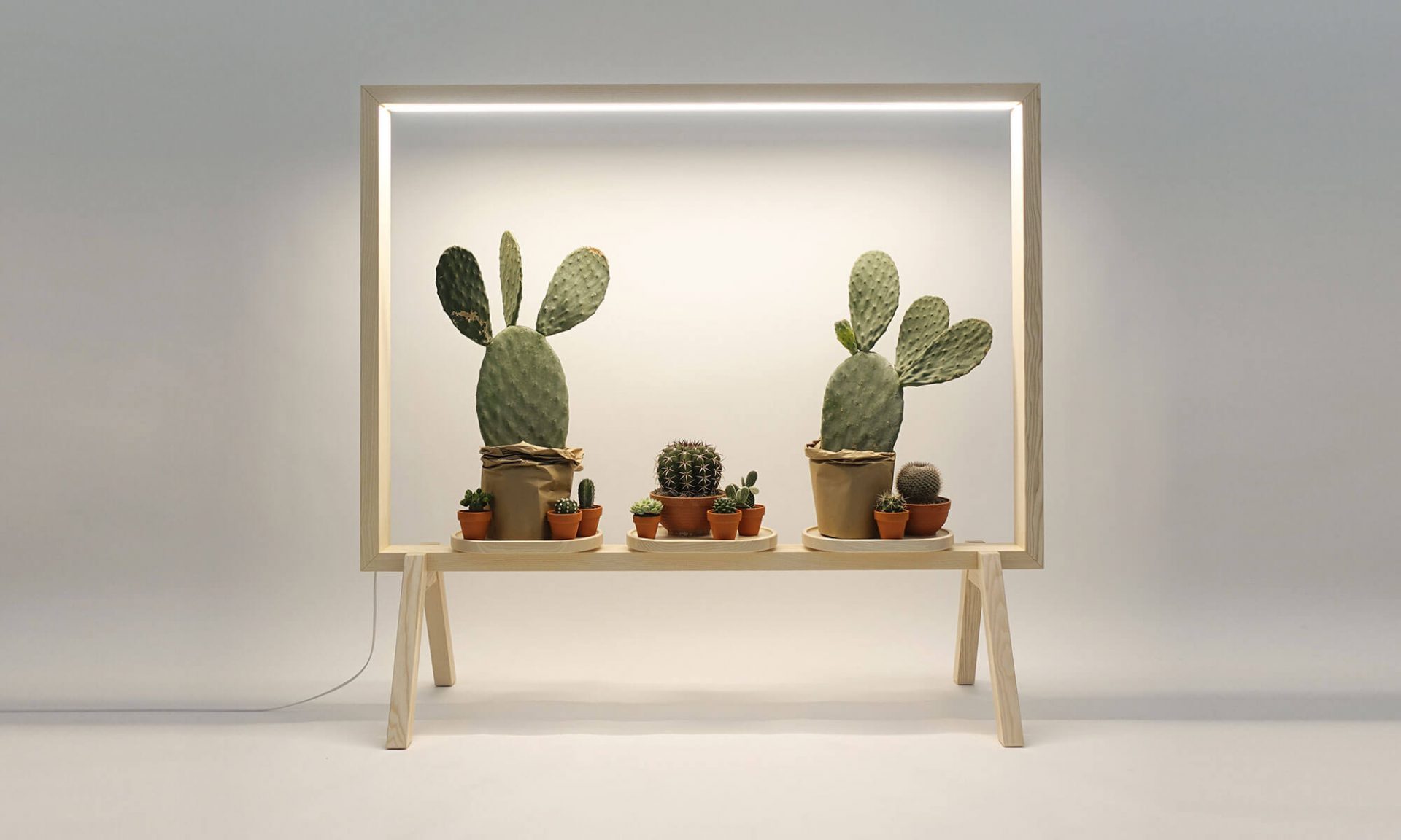 GreenFrame - with cacti