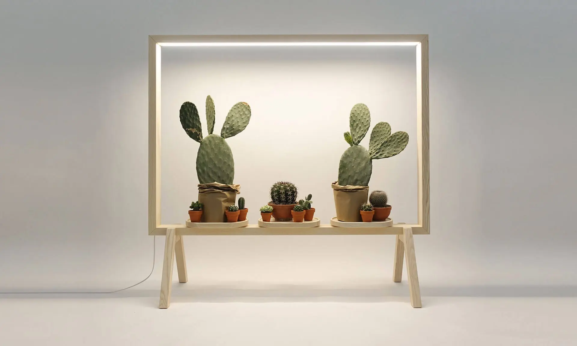 GreenFrame - with cacti