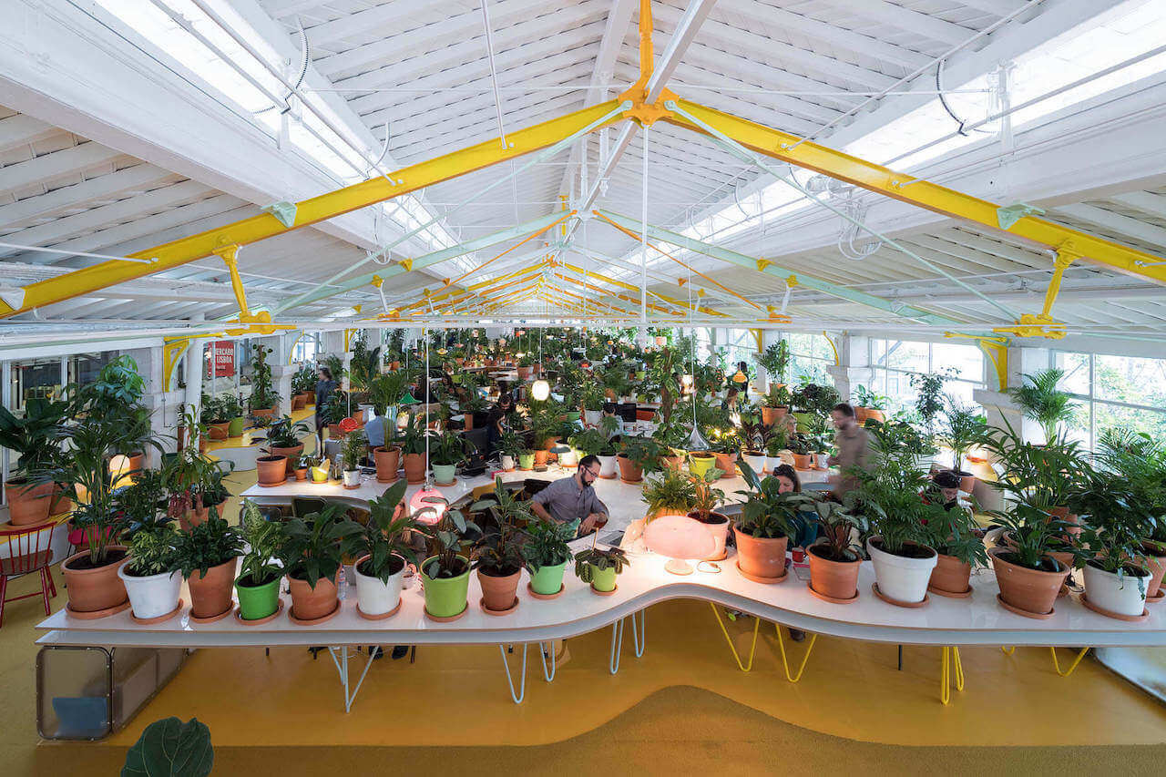 plant-filled workspaces