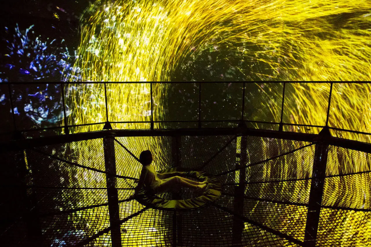 teamlab - The Way of the Sea - the Nest