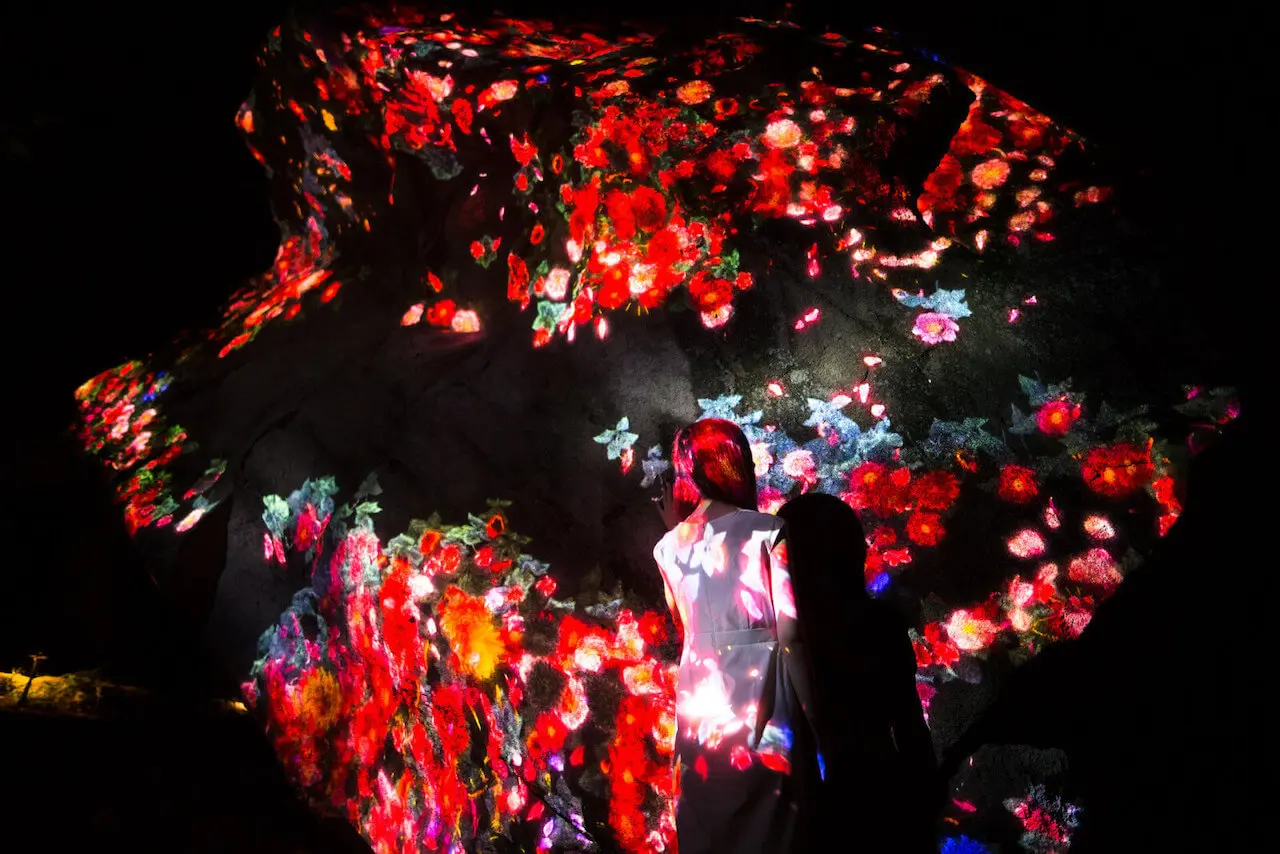 teamLab - Ever blossoming life rock