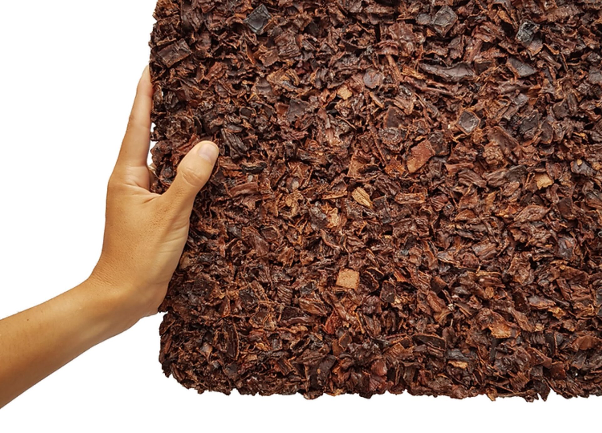 Kajkao: a biodegradable material from cocoa - DesignWanted : DesignWanted