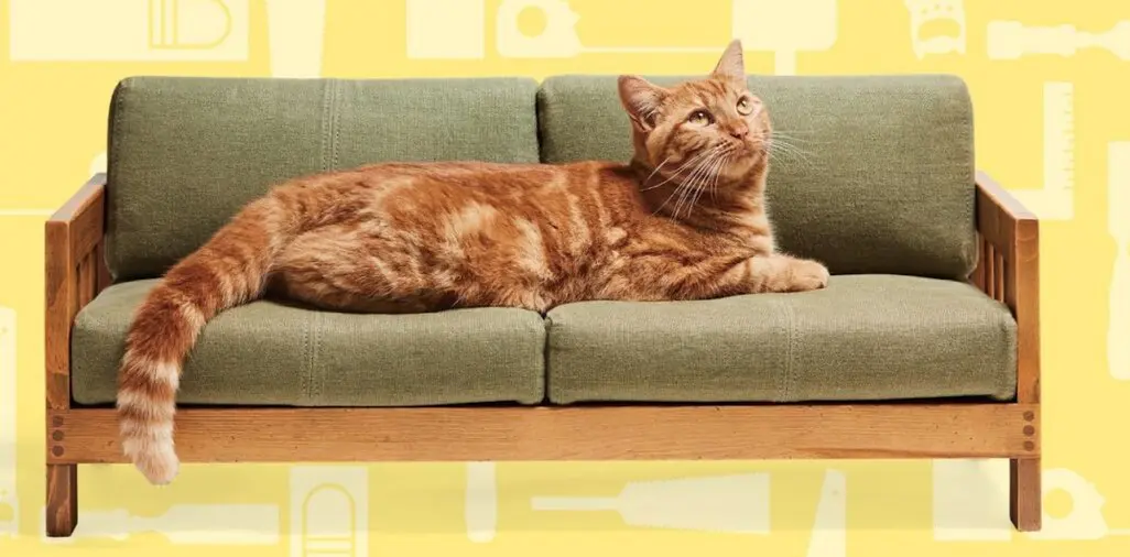 Okawa Cat Furniture