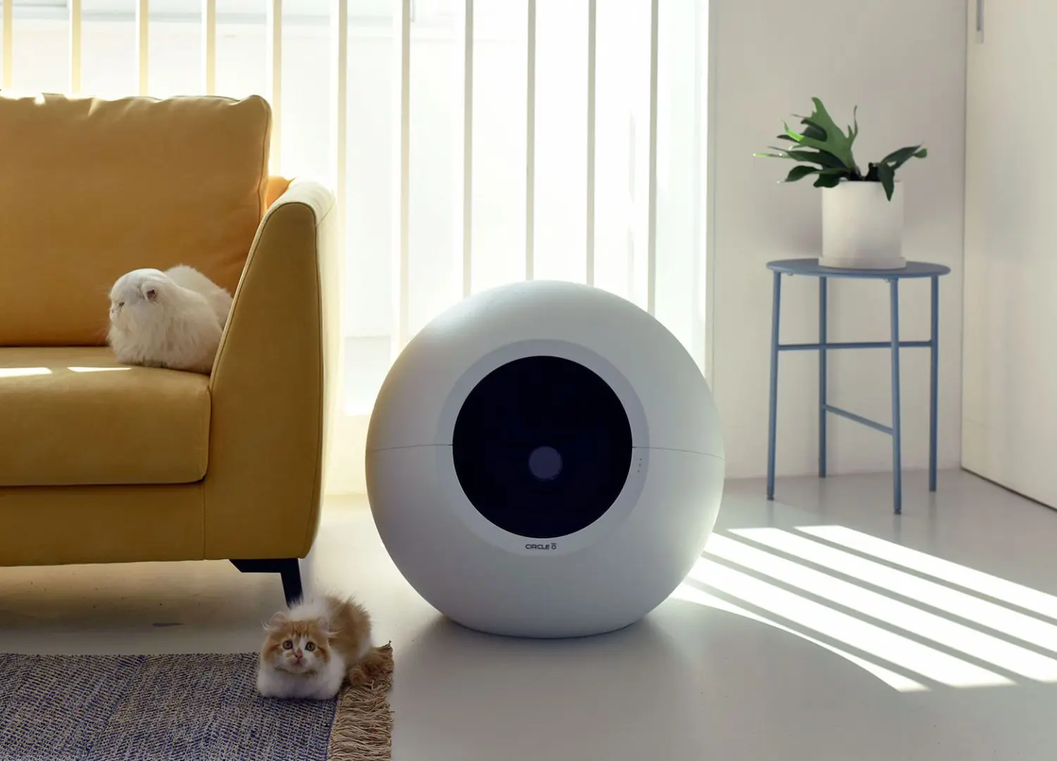 The Circle Zero by PLUTO - Innovative litter robots for cat owners