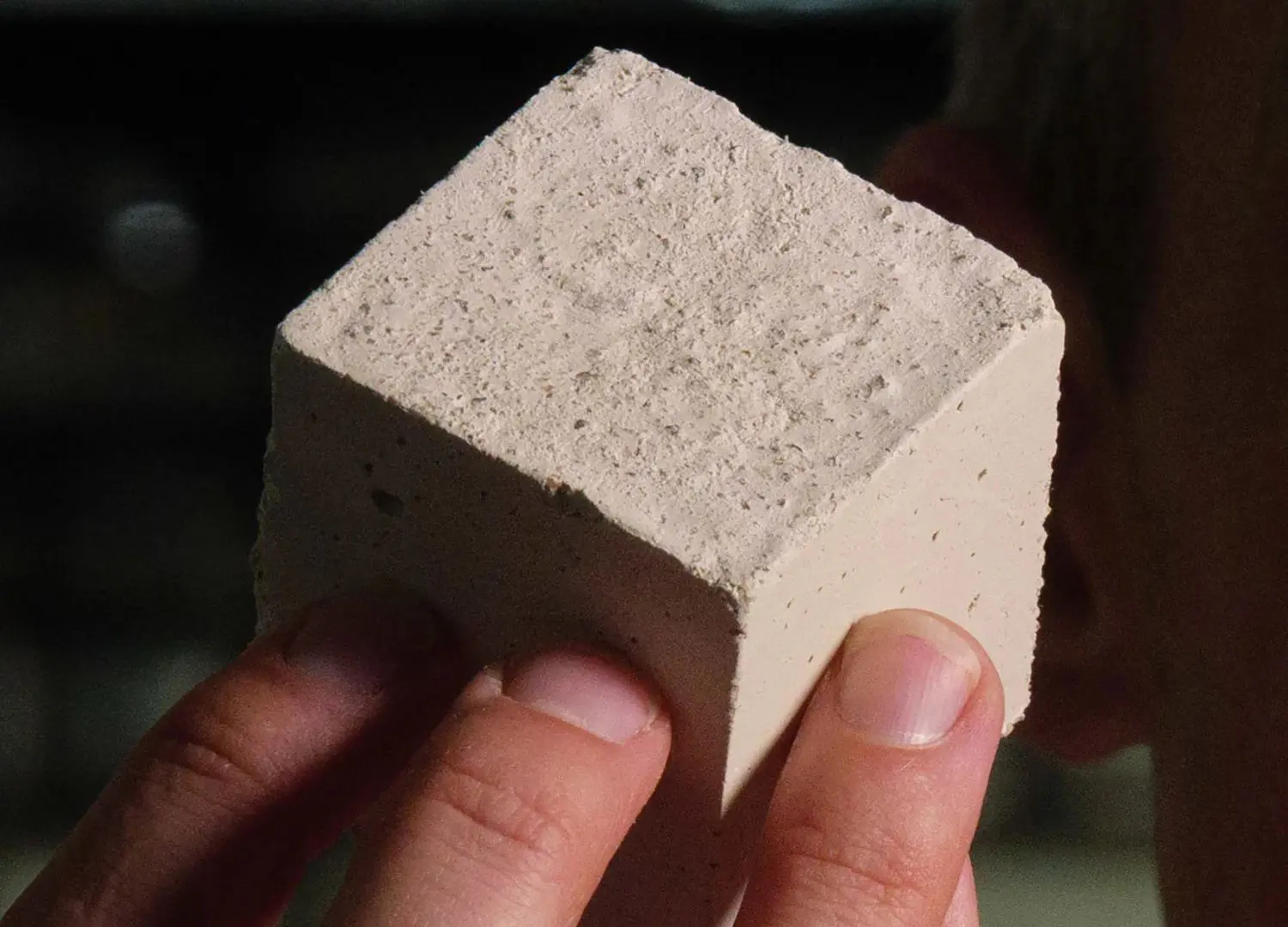 Biogenic Limestone by Minus Materials