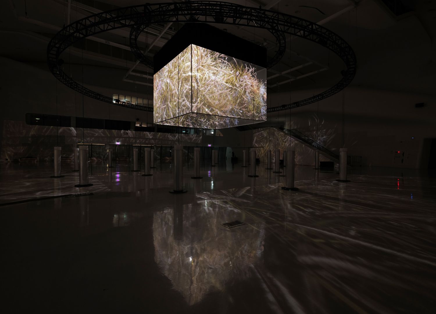 LIGHT ARCHITECTURE exhibition by media artist Yiyun Kang