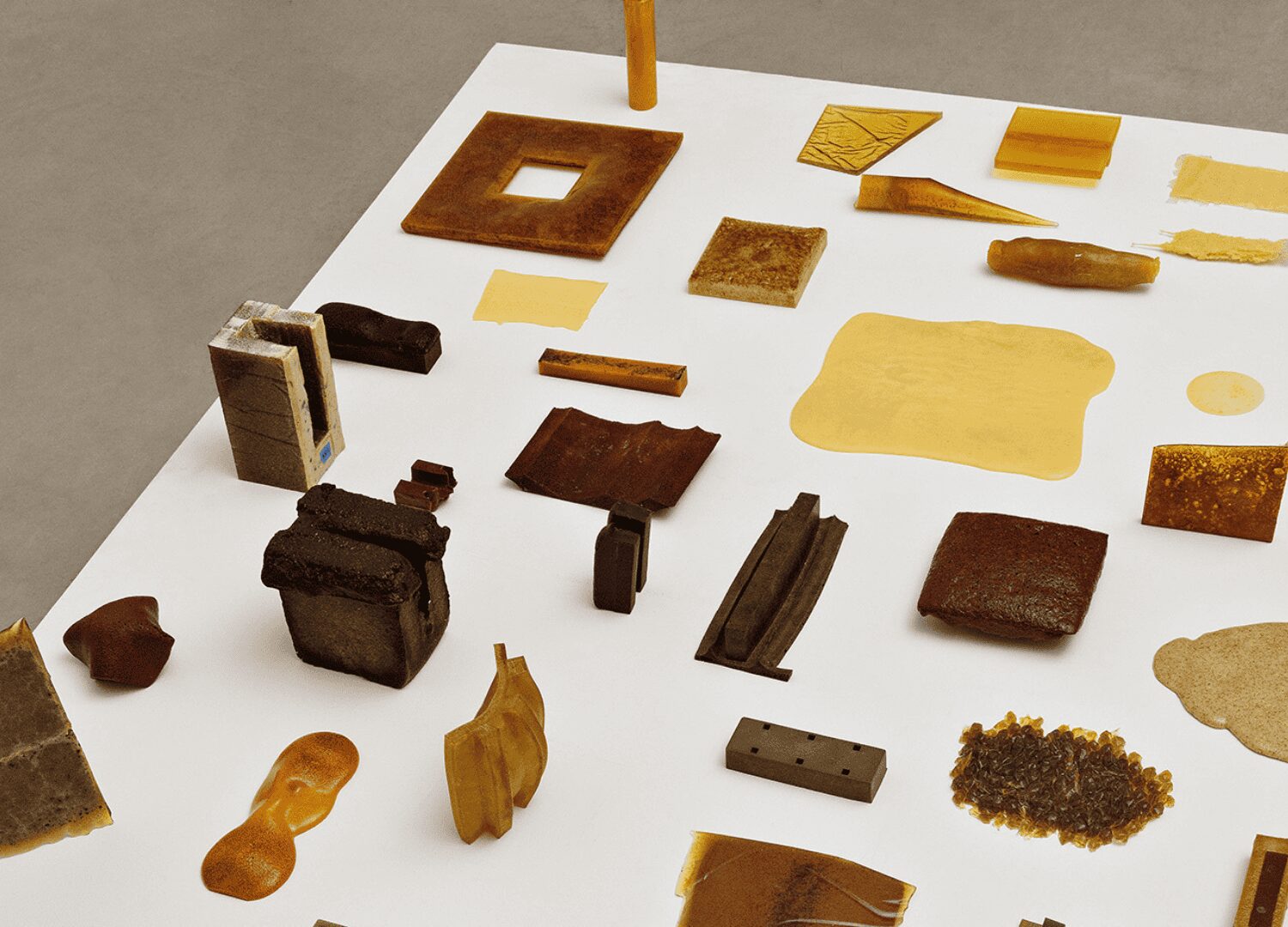 Rícino C, Estúdio RAIN © Estúdio RAIN