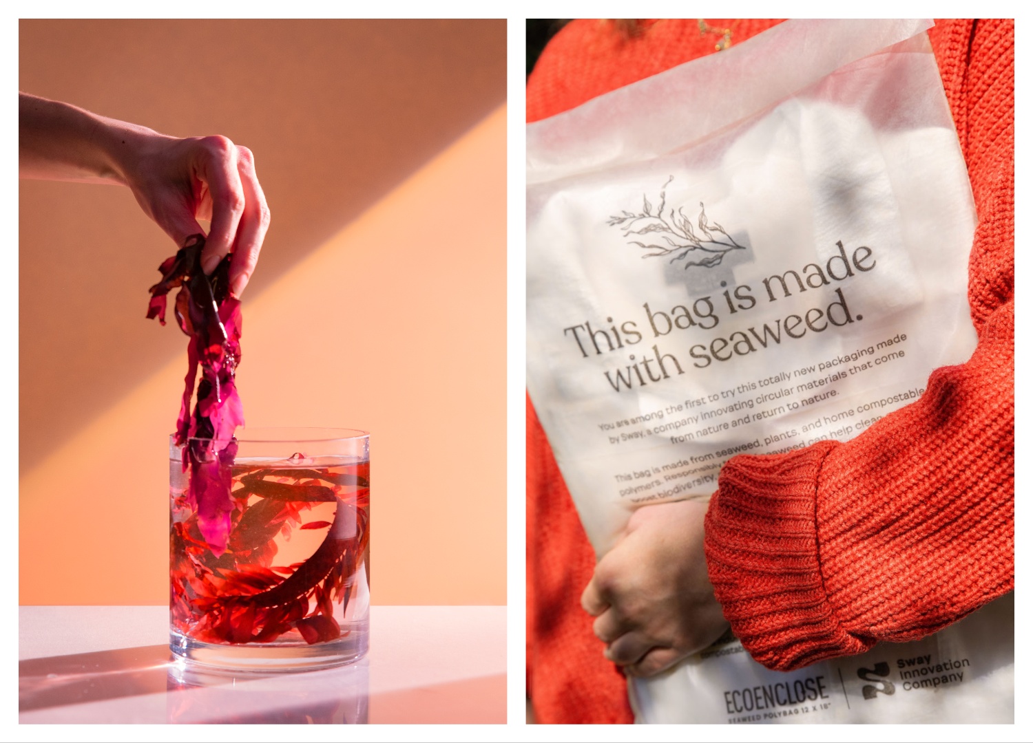 Seaweed Experiment and TPSea Flex_Polybag @ Sway