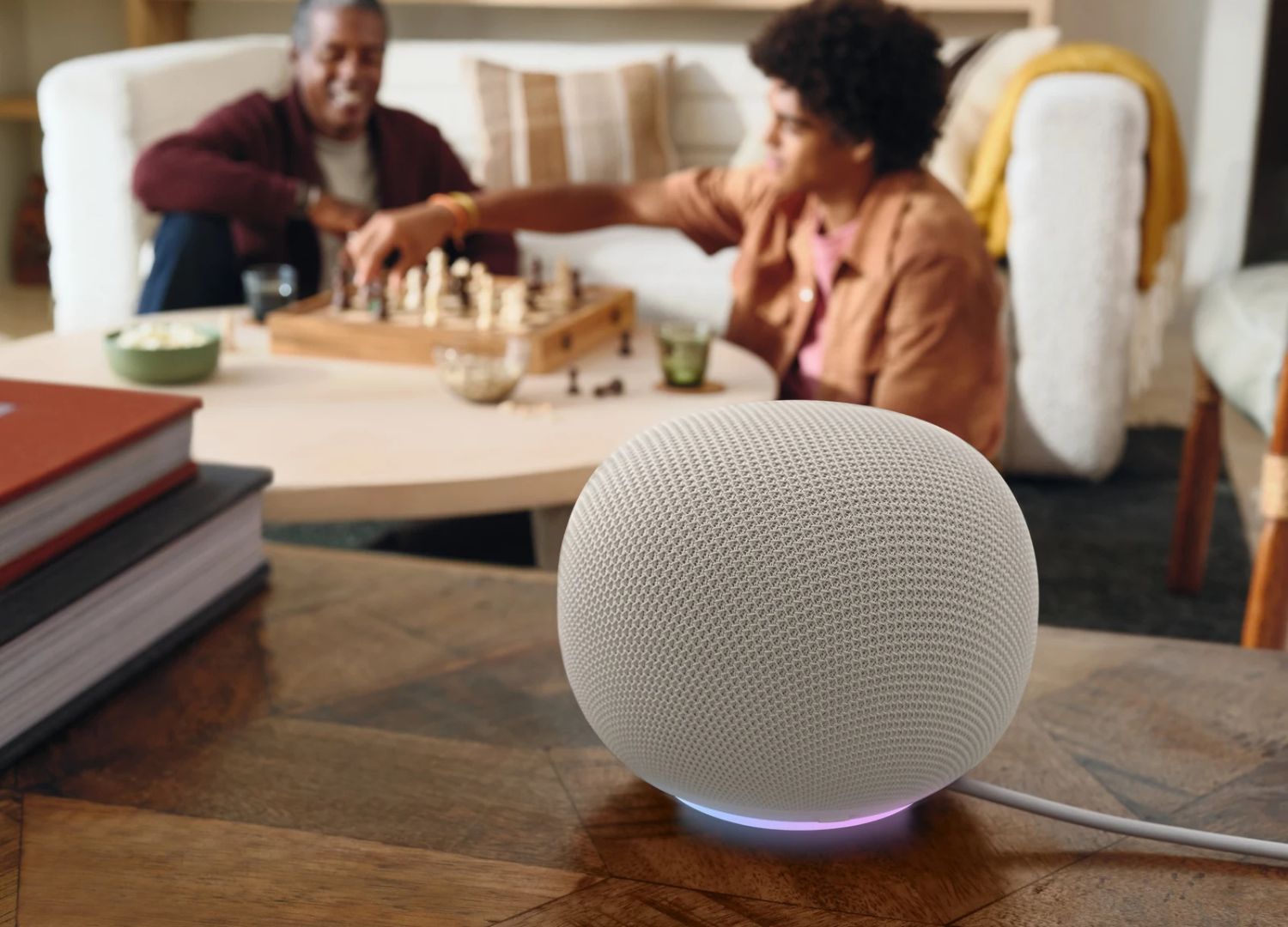Google Home Speaker © Google