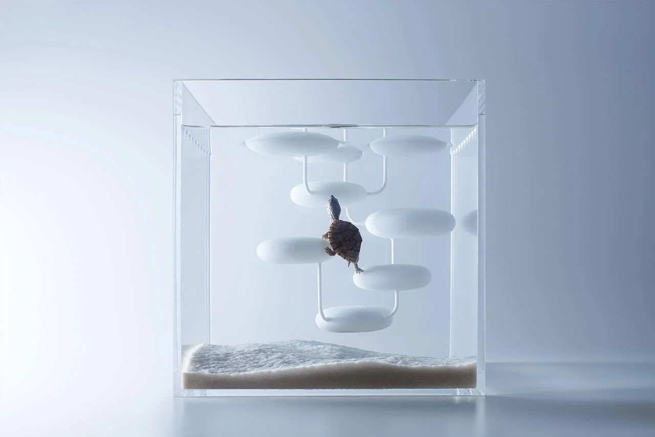 Fish tank designs: 5 ideas to appreciate life underwater : DesignWanted