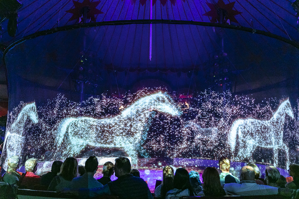 Roncalli  Hologram circus horses