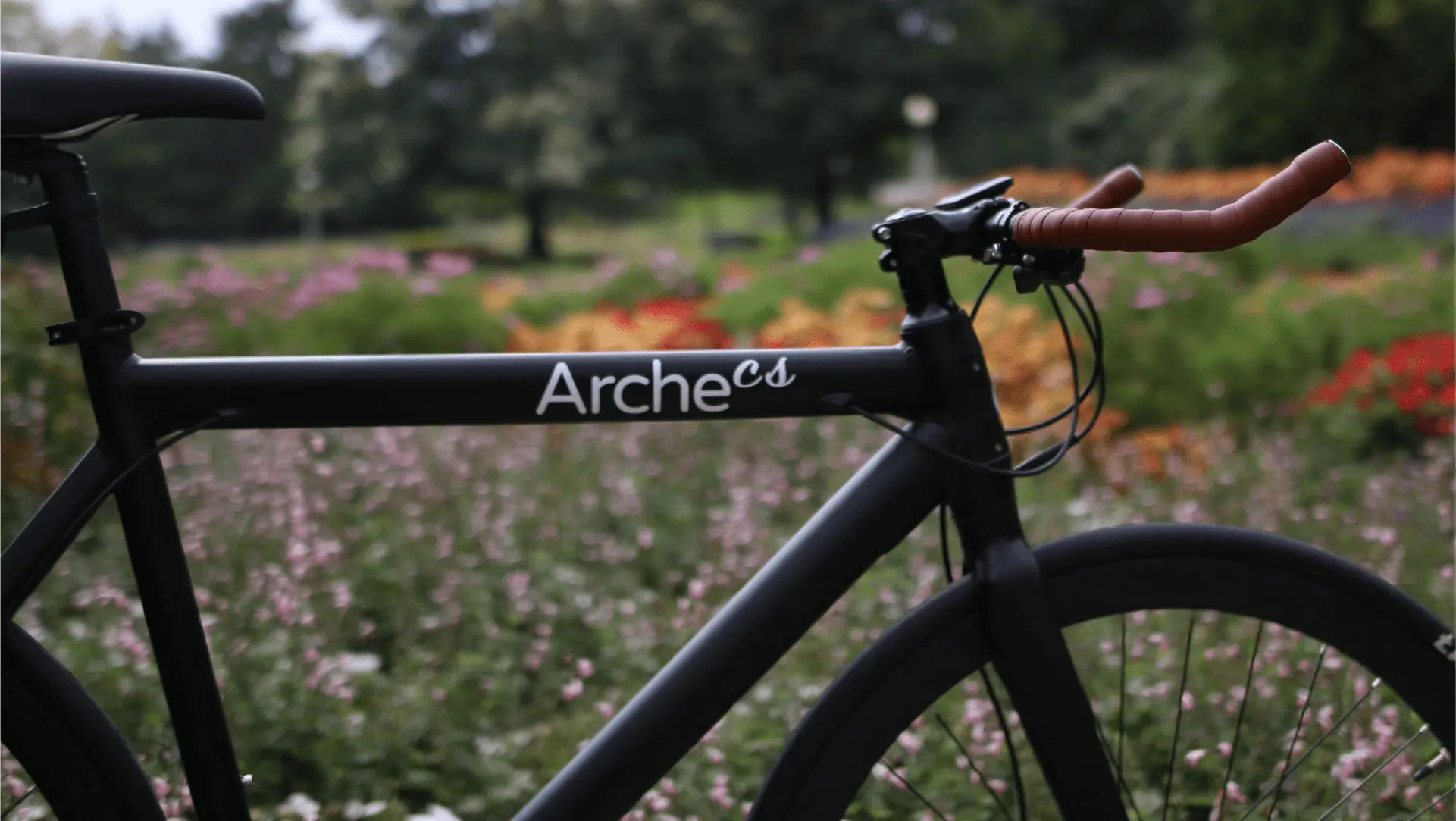 Arche - Featured image