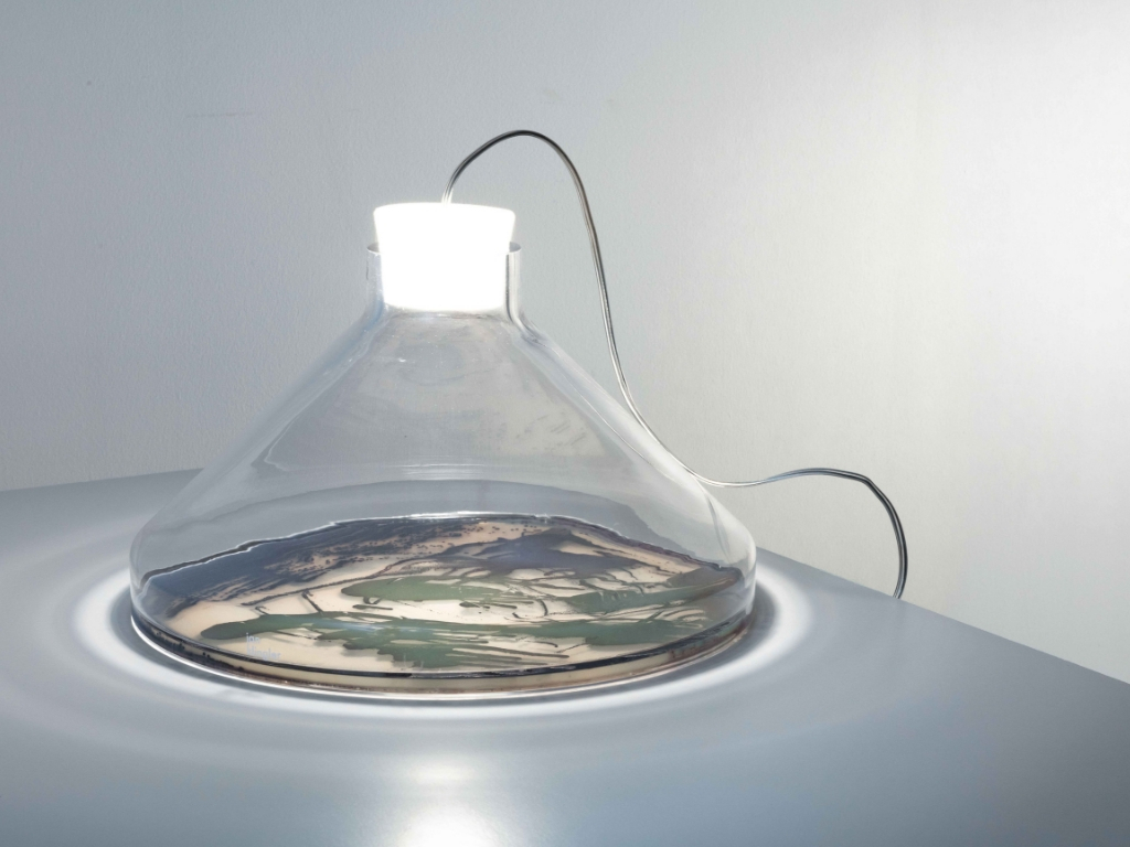 Bacteria Lamp by Jan Klingler