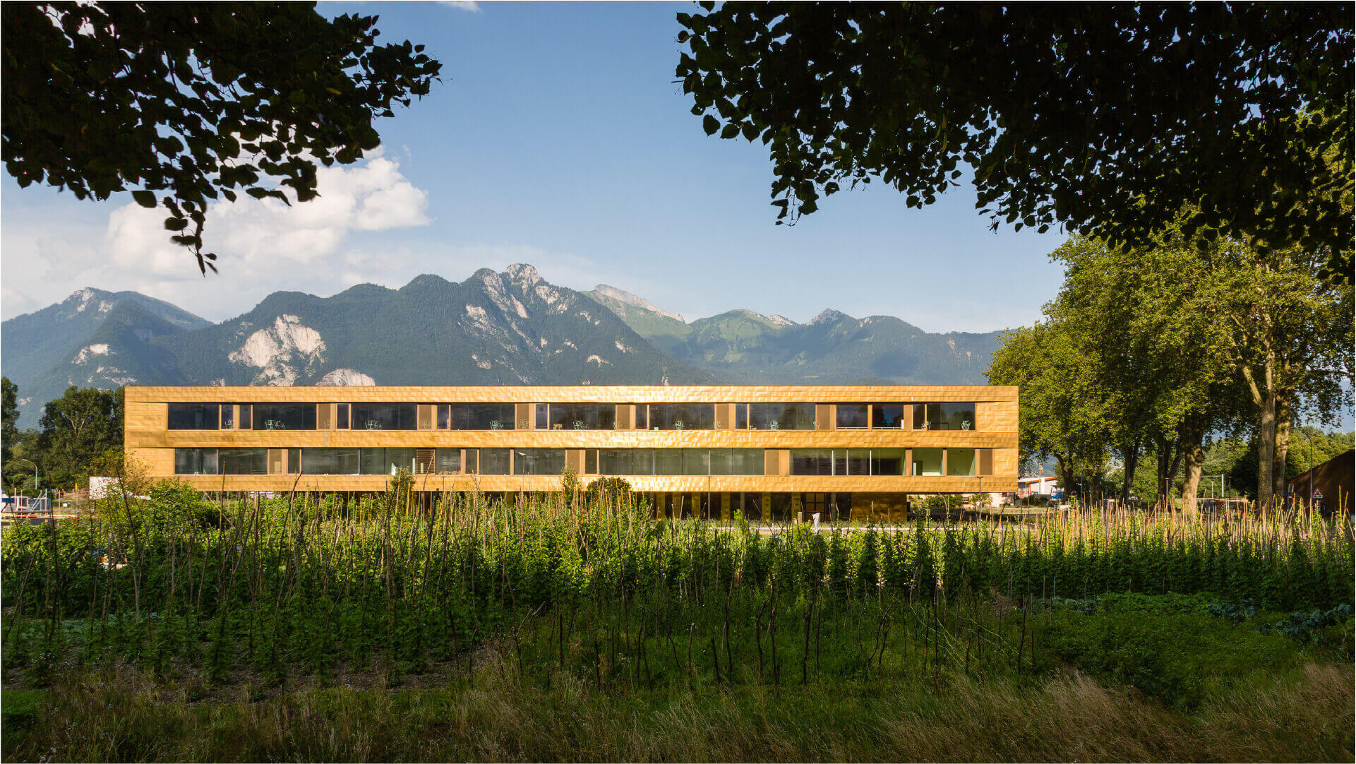Berrel Kräutler Architekten - Orientierungsschule Vouvry