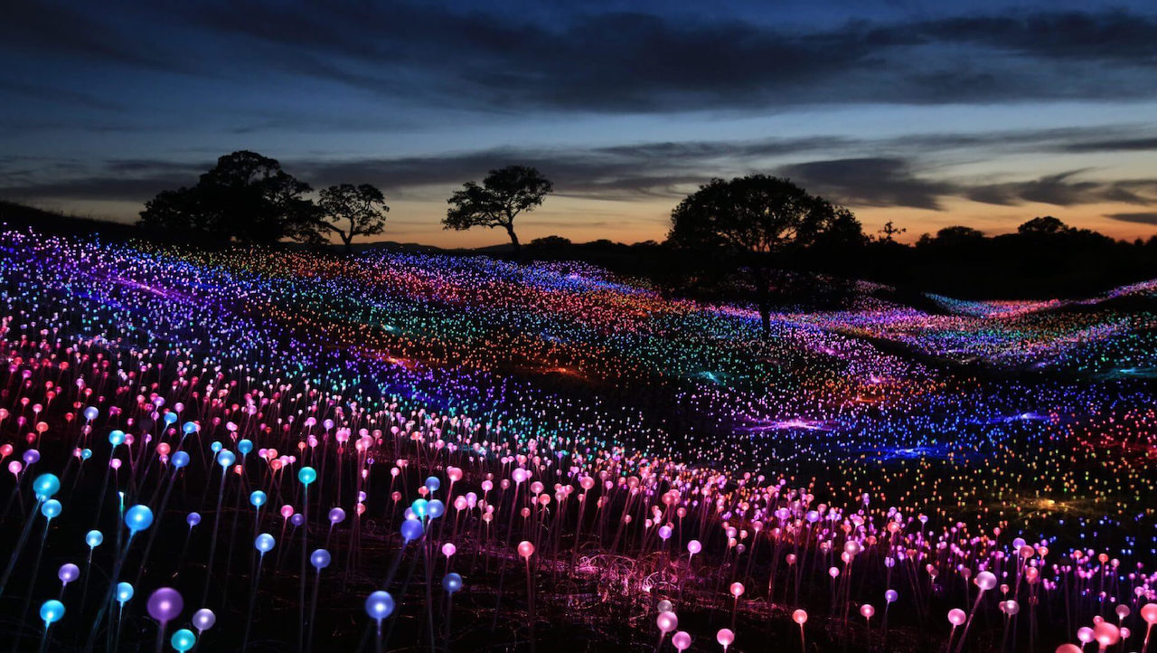 Bruce Munro - Field of light