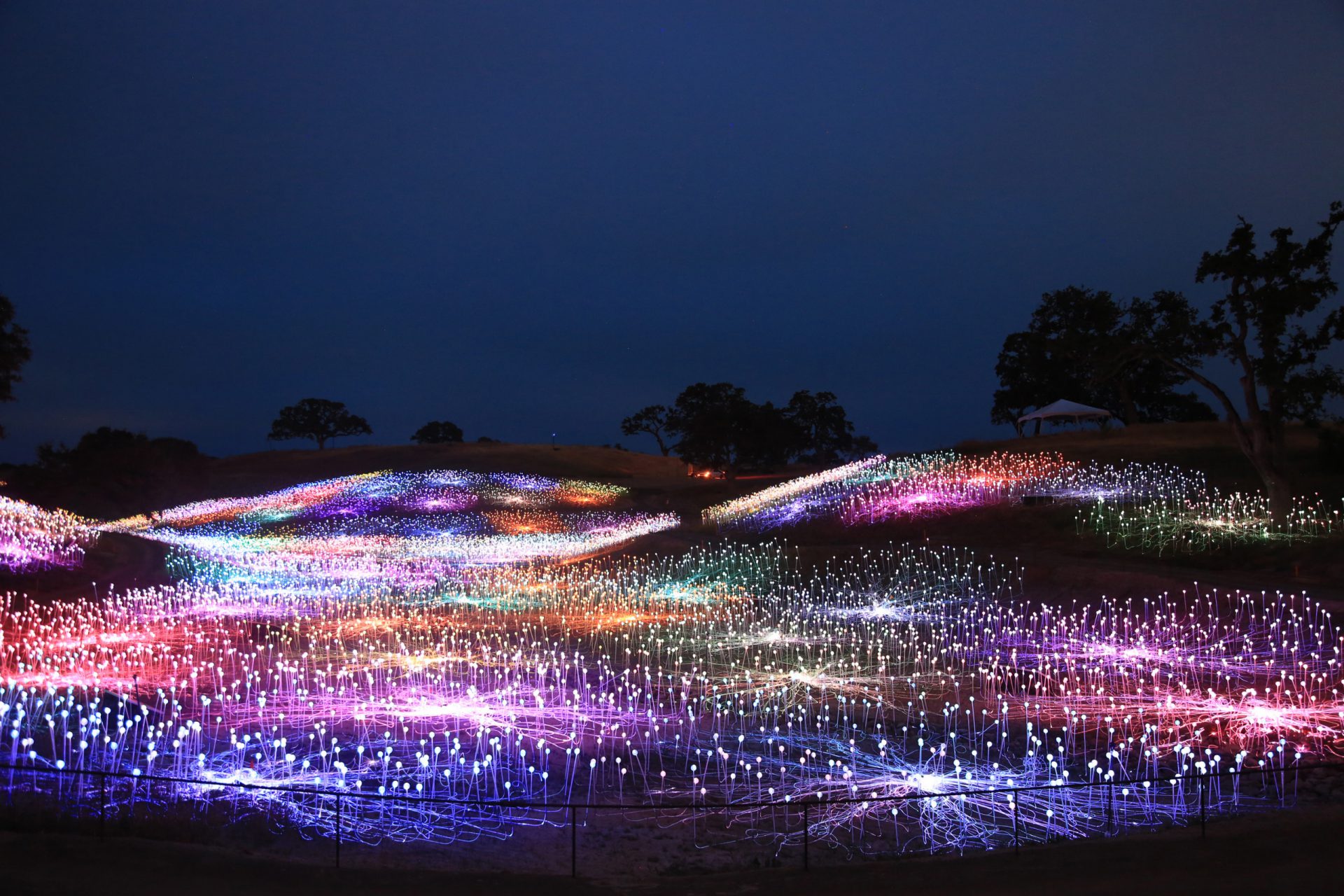 Field of light by Bruce Munro