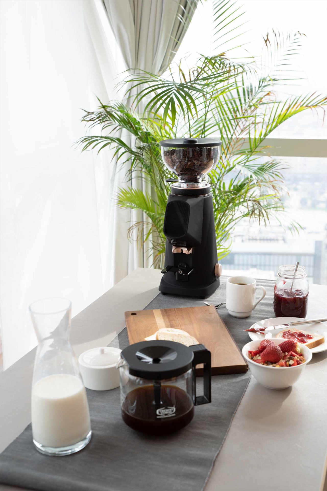 Fiorenzato AllGround - coffee grinder