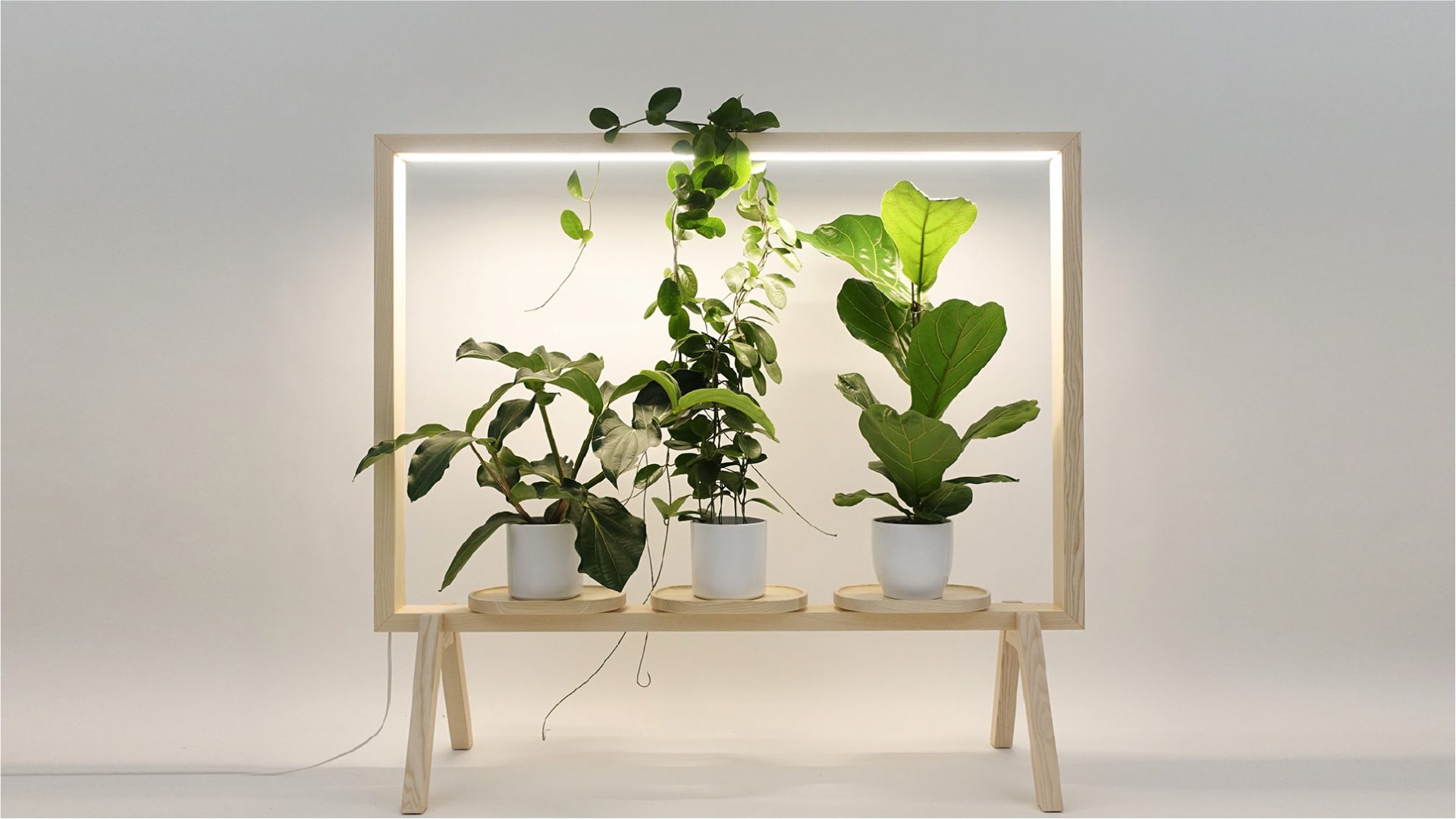 GreenFrame by Kauppi & Kauppi for Glimakra