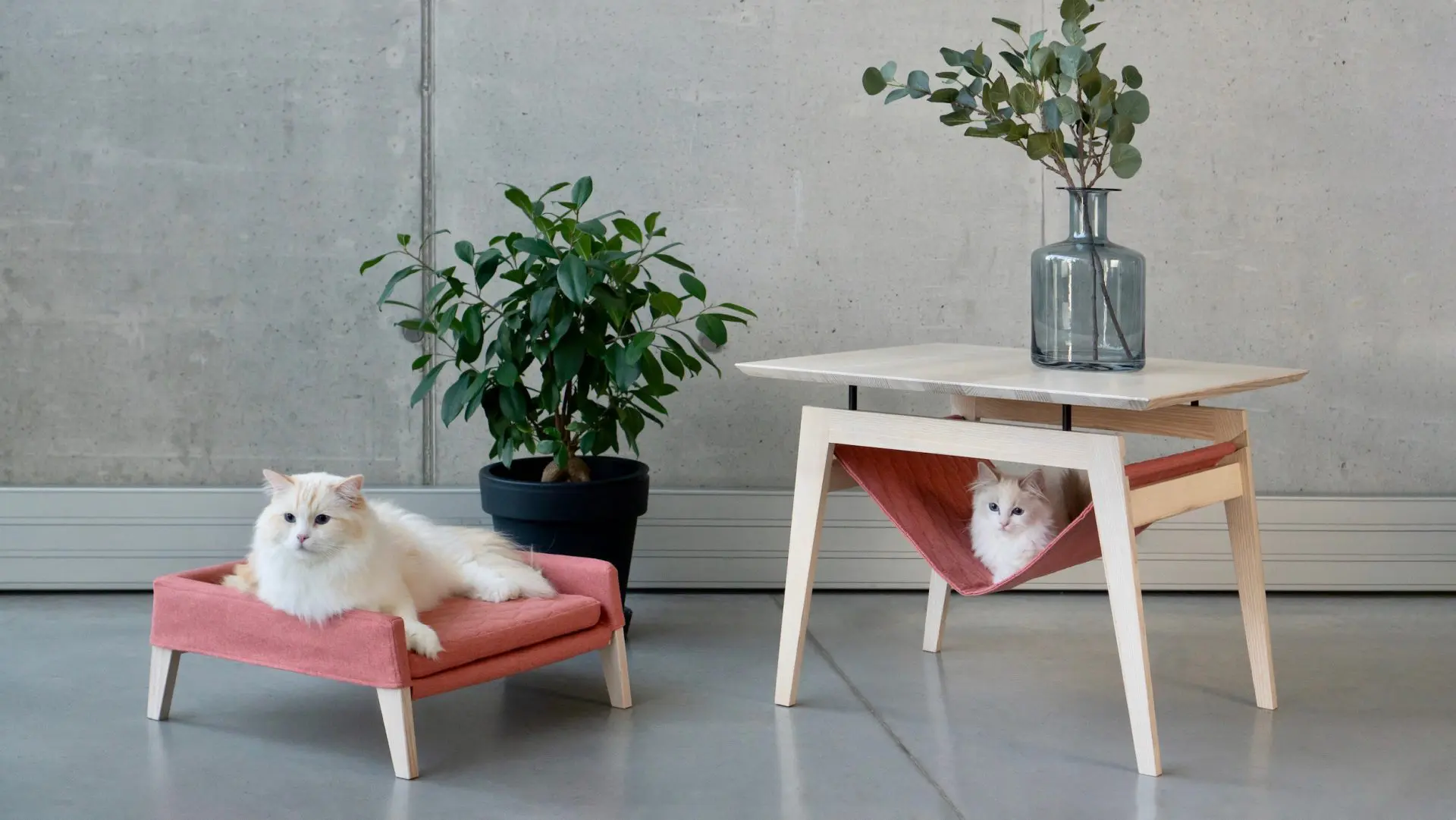 Labbvenn animal-friendly furniture