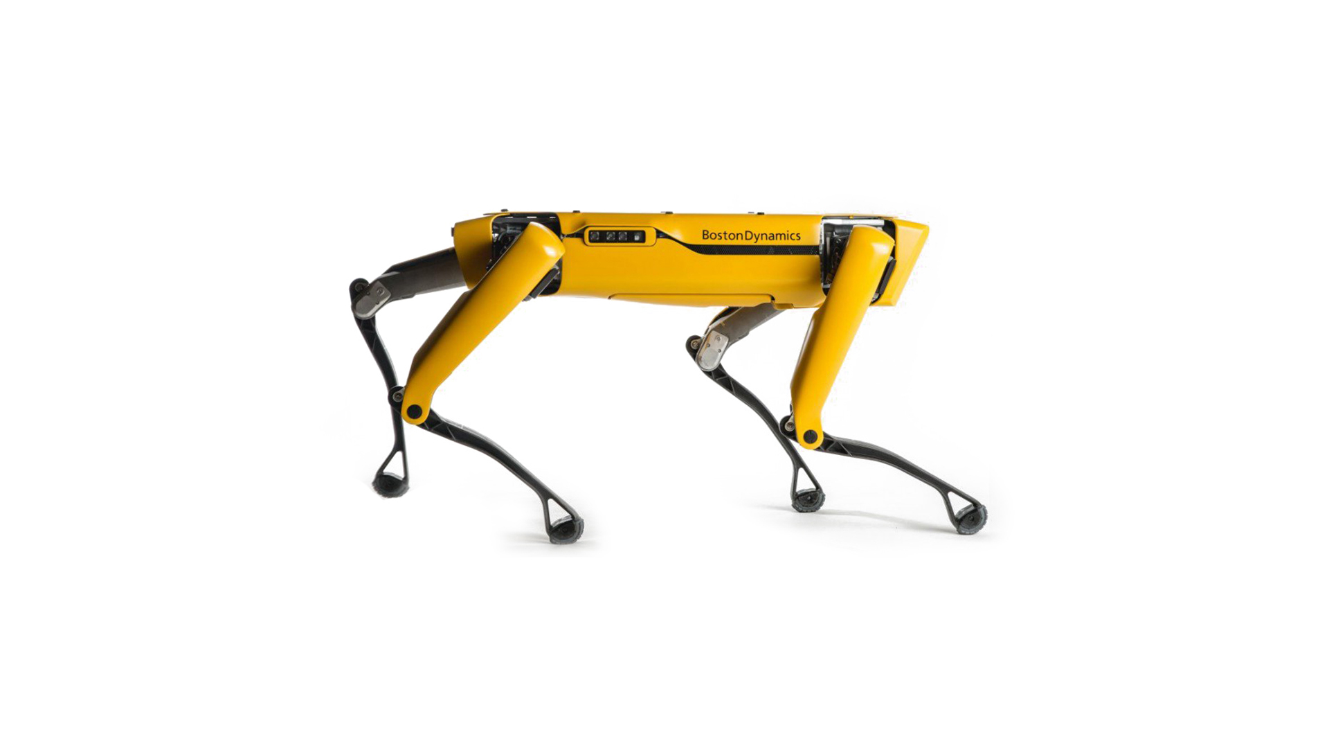 Spot robot by Boston Dynamics