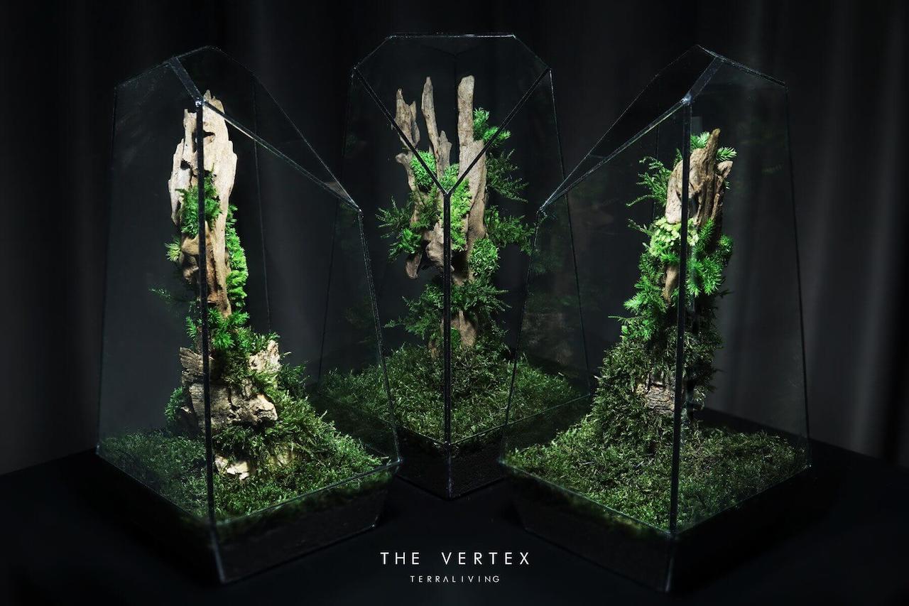 TerraLiving - The Vertex