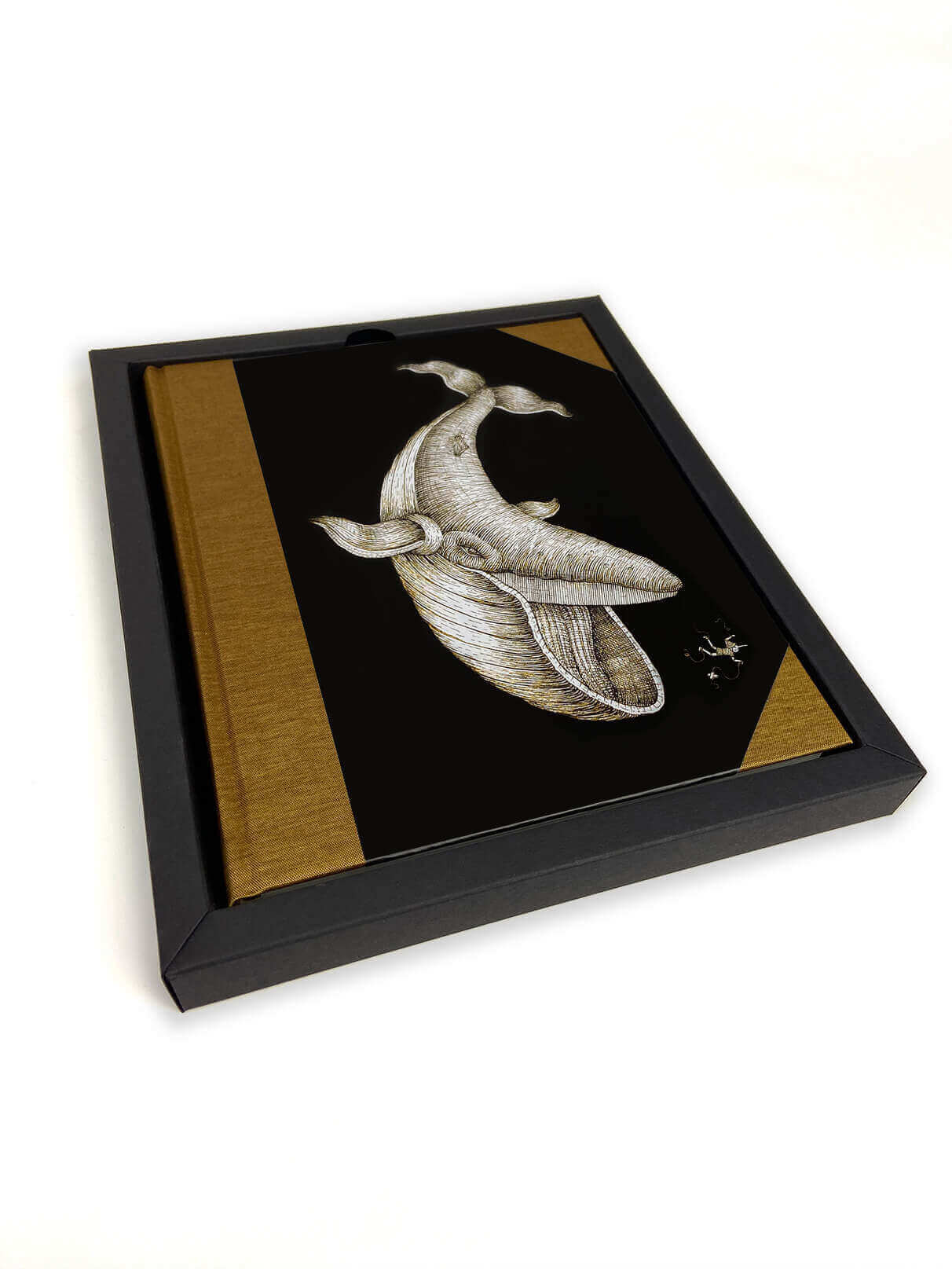 Aquatic Creatures - pinocchio notebook
