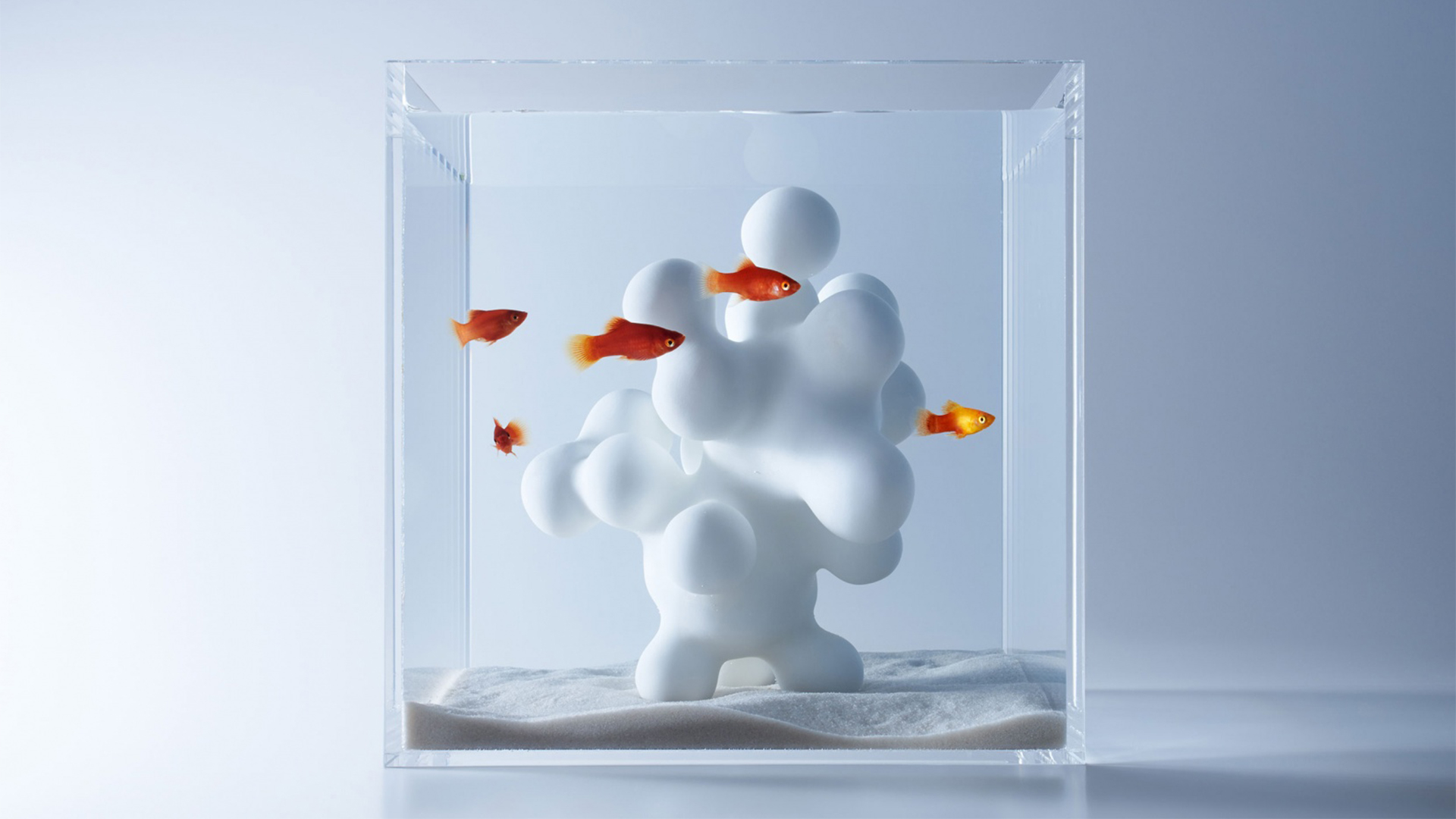 5 Fish tank designs _ Waterscape