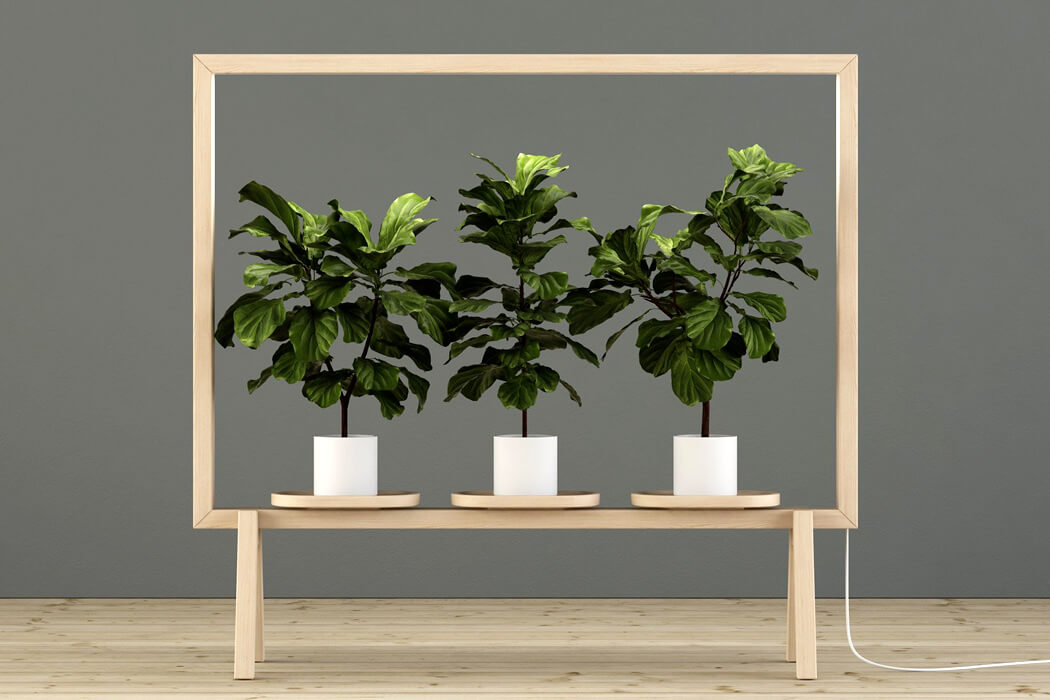 GreenFrame - with 3 plants