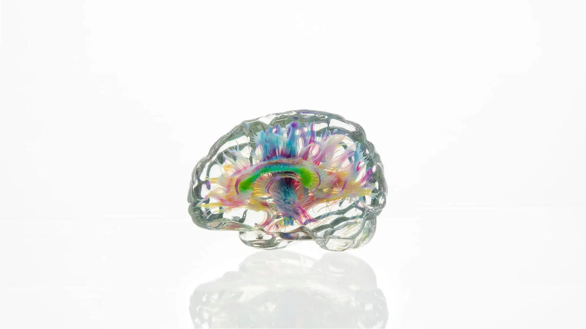 Making Data Matter - 3d printed brain