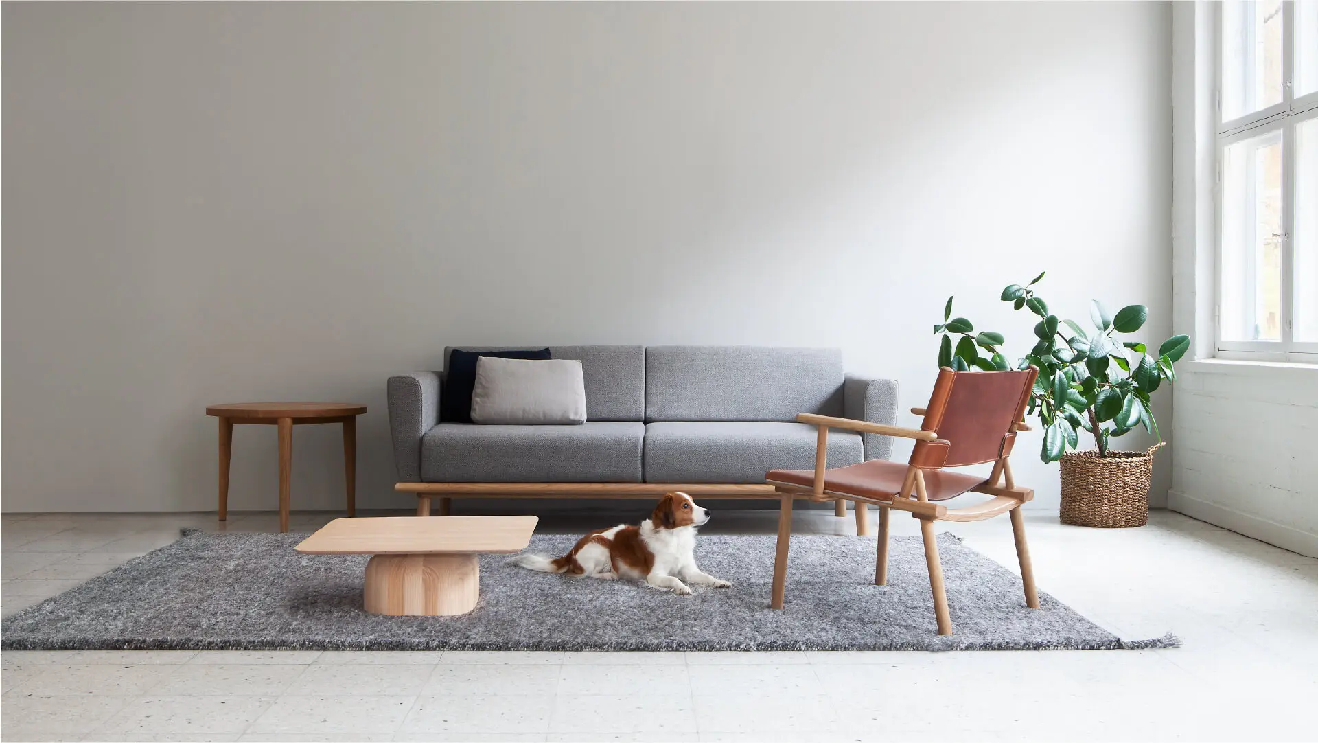 Nikari - livingroom furniture