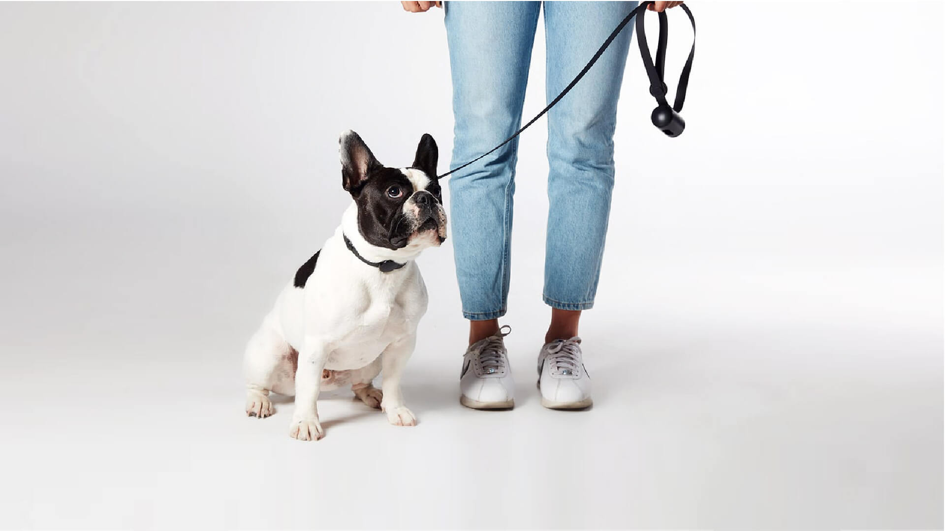 TOMO easy-connect pet gear