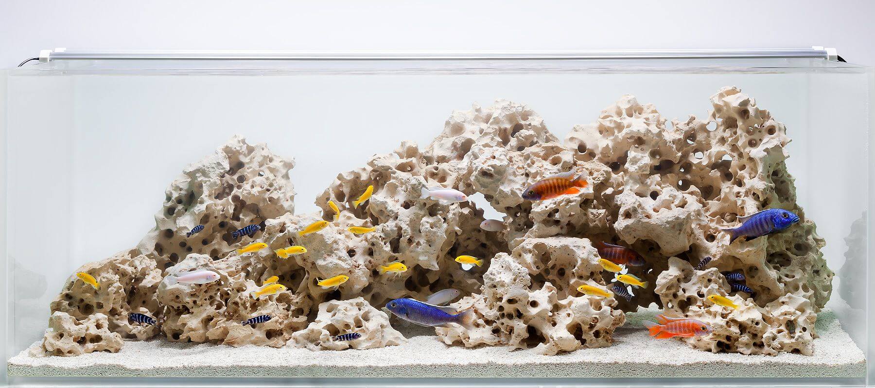 Fish tank designs: 5 ideas to appreciate life underwater : DesignWanted