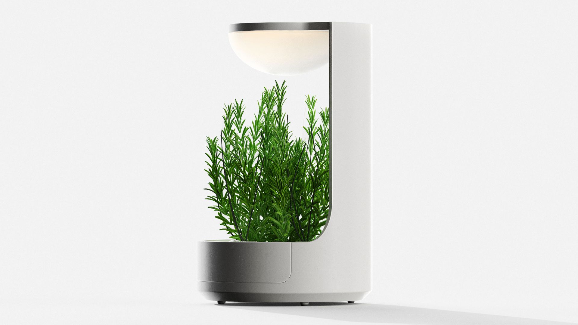 Trio: a biophilic plant pot design - DesignWanted : DesignWanted