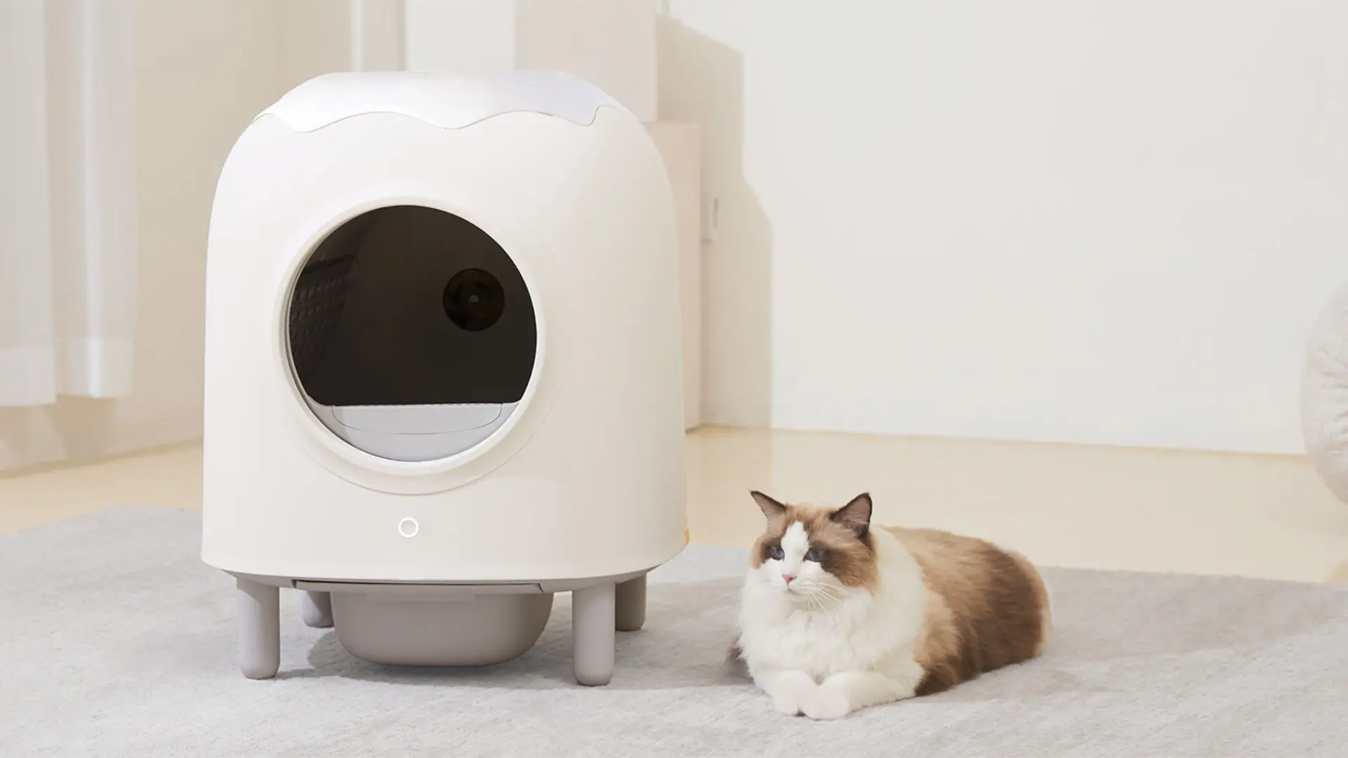 Innovative litter robots for cat owners - cover