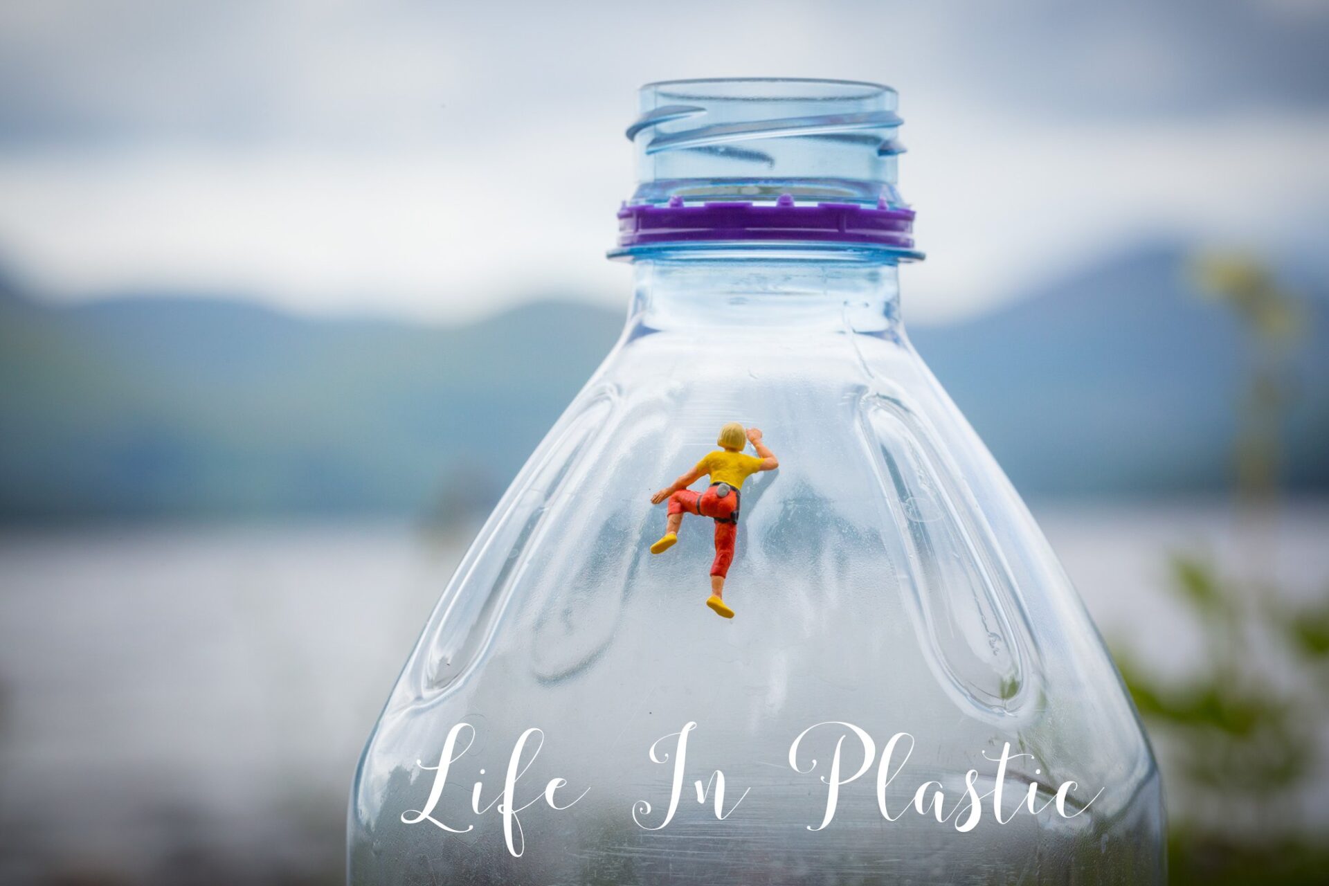 life in plastic