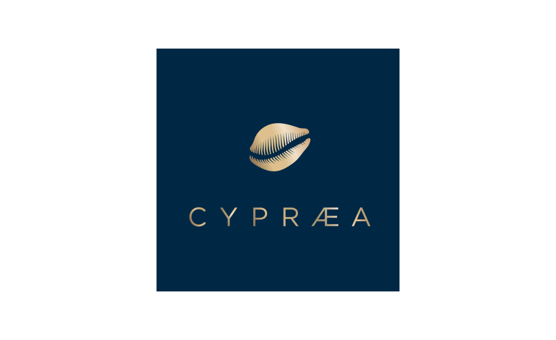 Cypraea-_-Brands-_-Cover-image.png