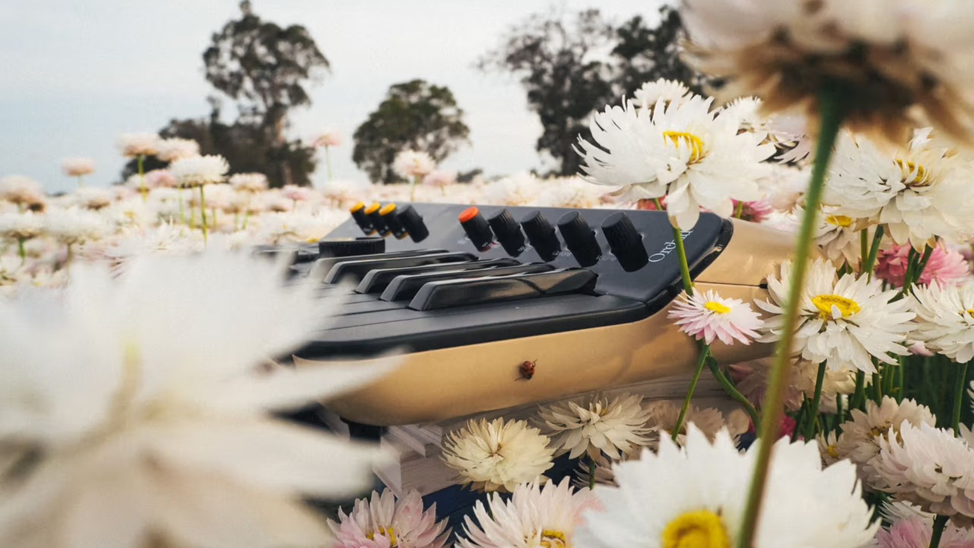 Co-founded by Tame Impala frontman Kevin Parker, Telepathic Instruments’s divine debut product The Orchid is a petite chord-generating synthesizer created for musicians of all skill levels, ever-present to help shape and color one’s sound mood board. 