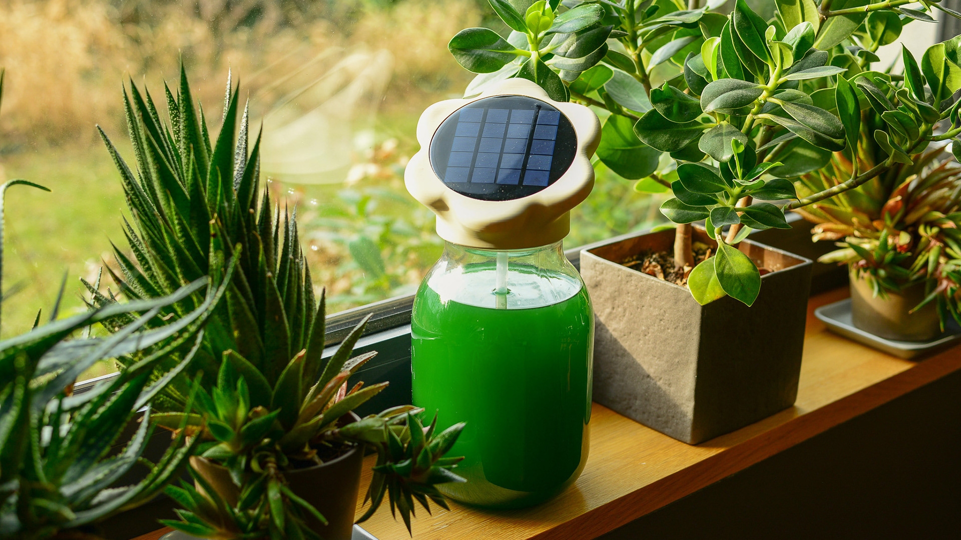 Greenspire